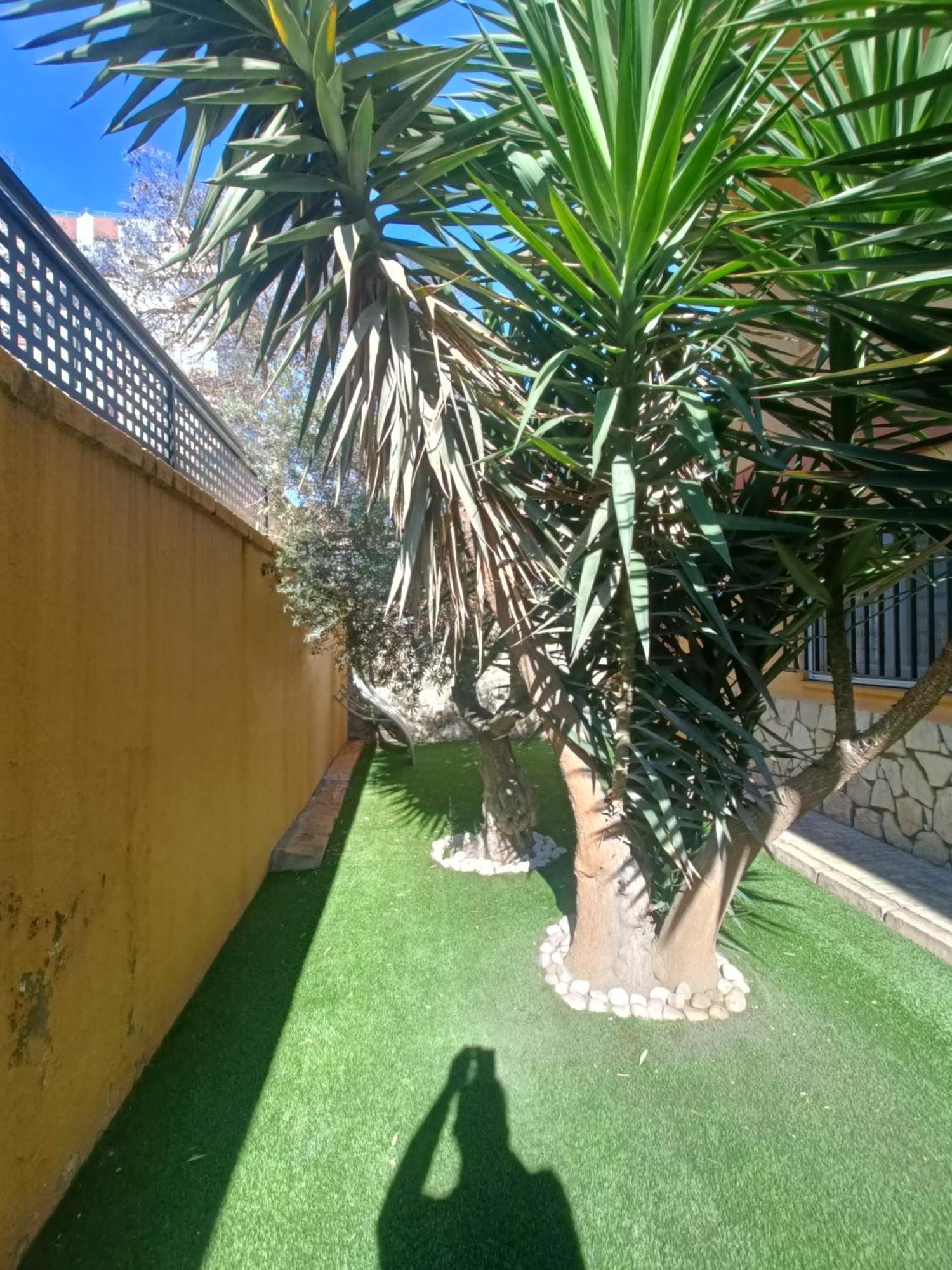 Beach&Garden Μάλαγα Εξωτερικό φωτογραφία